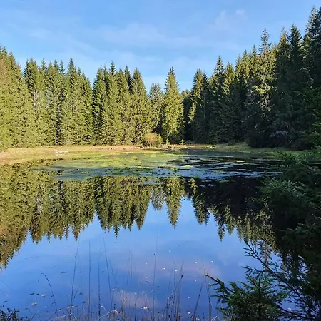 Relax Lipno- V Podkrovi U Plaze Windy Point דירה *