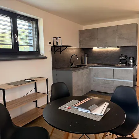 Appartement Relax Lipno- V Podkrovi U Plaze Windy Point Černá v Pošumaví