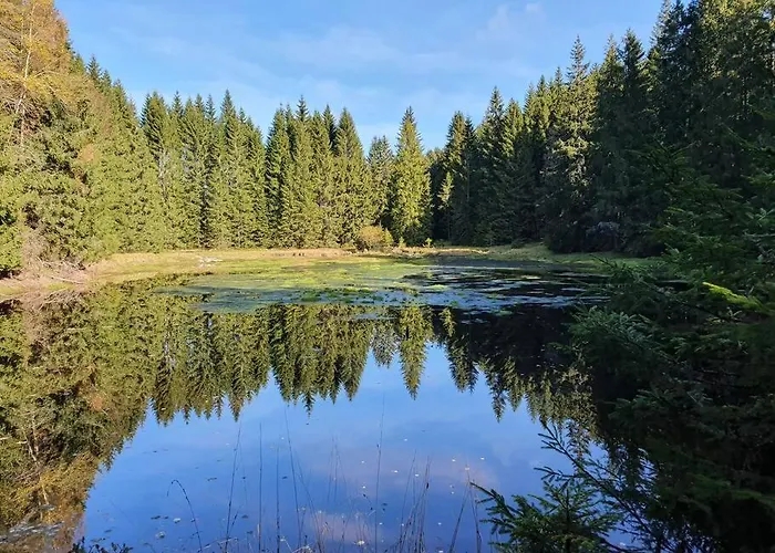 Relax Lipno- V Podkrovi U Plaze Windy Point Апартаменты *