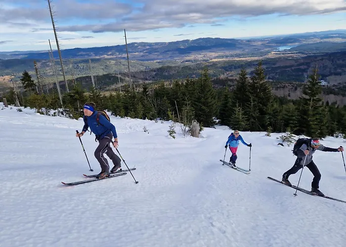 Апартаменты Relax Lipno- V Podkrovi U Plaze Windy Point *