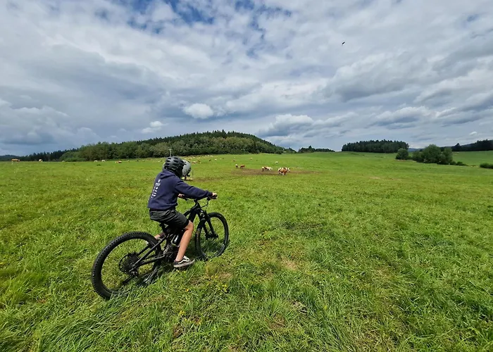 Апартаменты Relax Lipno- V Podkrovi U Plaze Windy Point