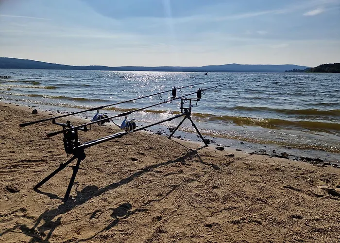 Апартаменты Relax Lipno- V Podkrovi U Plaze Windy Point *